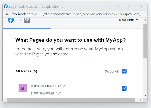 A new window will open where your app will request more permissions. Here, you will choose the pages you want the app you created to have access to